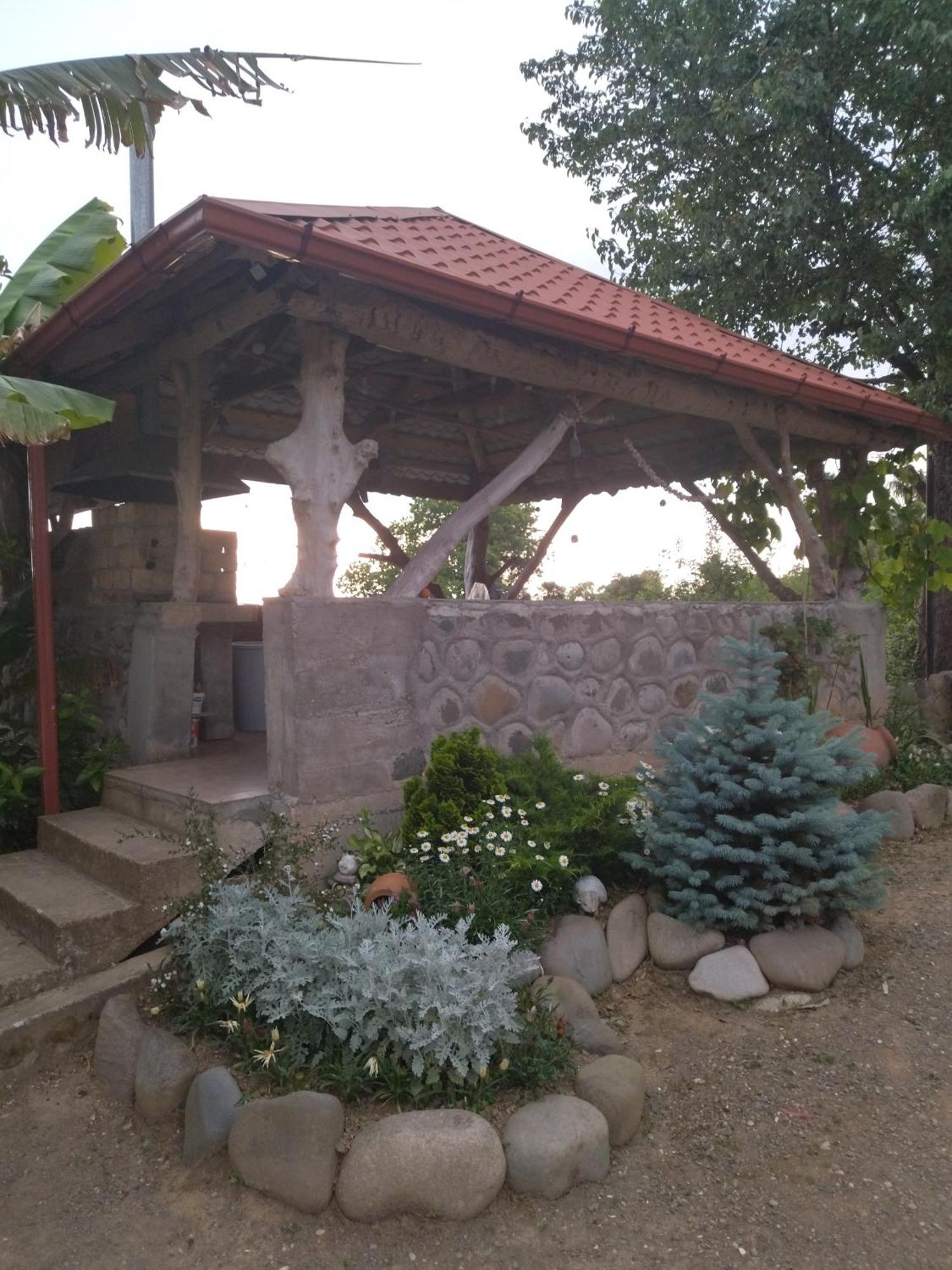 Olga'S Home باتومي المظهر الخارجي الصورة