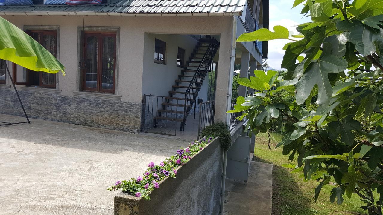Olga'S Home باتومي المظهر الخارجي الصورة