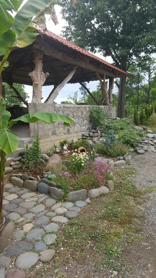 Olga'S Home باتومي المظهر الخارجي الصورة